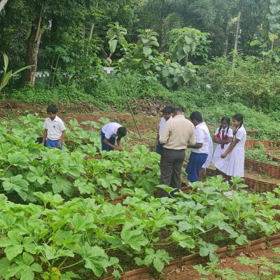 Whatsapp Image 2024 07 27 At 14.23.54 6