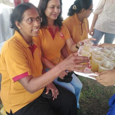 පොසොන් පොහොය වැඩසටහන